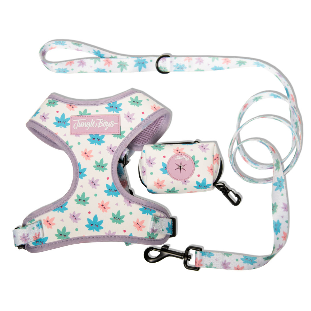 Dog harness deals set